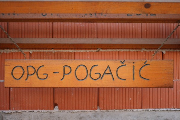 pogacic_2